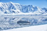 Dorian-Bay_Antarctique&copy;StudioPONANT-Olivier Blaud-2